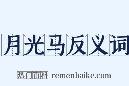 月光马反义词是什么意思的图片